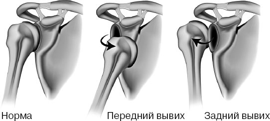 Анатомия на пальцах