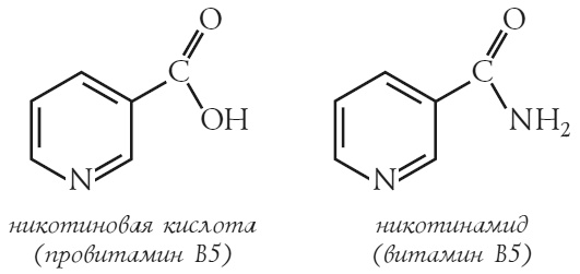 Химия. Узнавай химию, читая классику. С комментарием химика