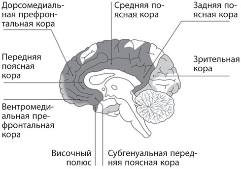 Как рождаются эмоции. Революция в понимании мозга и управлении эмоциями