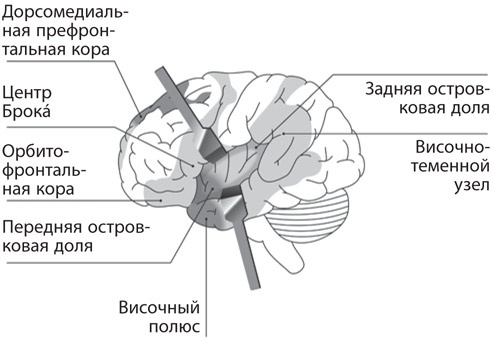 Как рождаются эмоции. Революция в понимании мозга и управлении эмоциями