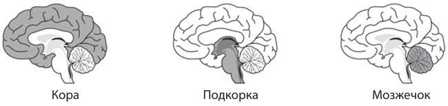 Как рождаются эмоции. Революция в понимании мозга и управлении эмоциями