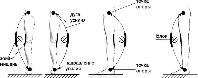 Своды Славянской гимнастики