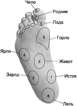 Своды Славянской гимнастики