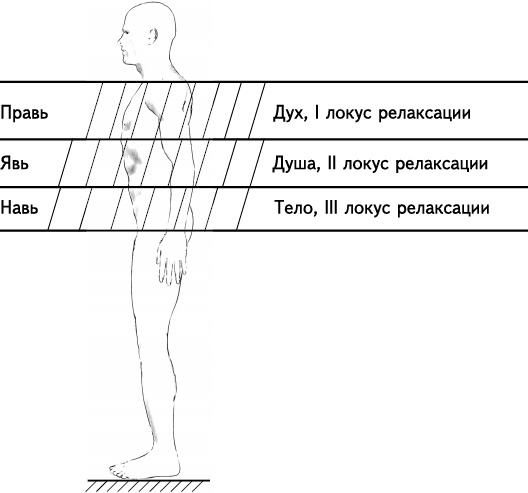 Своды Славянской гимнастики