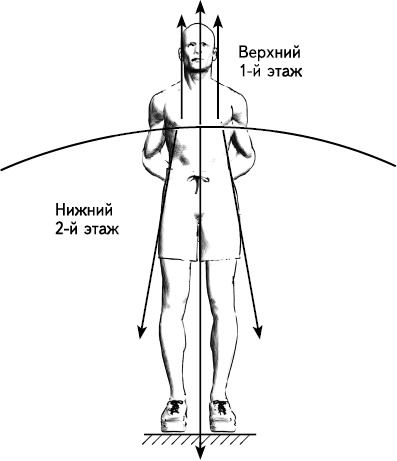 Своды Славянской гимнастики