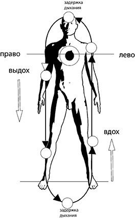 Своды Славянской гимнастики