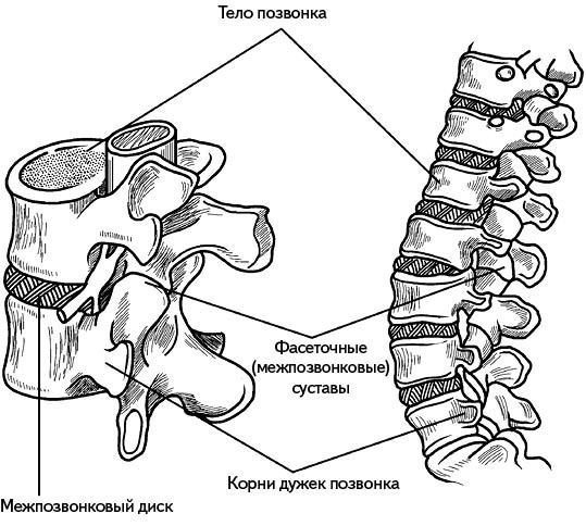 Жизнь без боли в спине. Лечение сколиоза, остеопороза, остеохондроза, межпозвонковой грыжи без операции