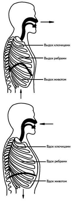 Жизнь без боли в спине. Лечение сколиоза, остеопороза, остеохондроза, межпозвонковой грыжи без операции