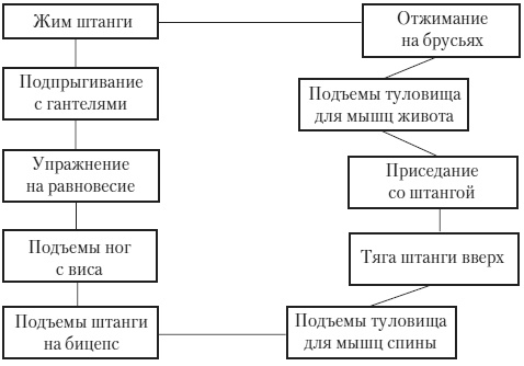 Силовой тренинг. Как нарастить силу, занимаясь без тренера