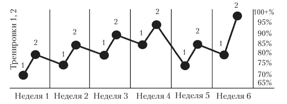 Силовой тренинг. Как нарастить силу, занимаясь без тренера