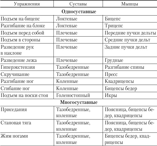 Силовой тренинг. Как нарастить силу, занимаясь без тренера