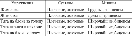 Силовой тренинг. Как нарастить силу, занимаясь без тренера