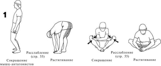 Растяжка для каждого