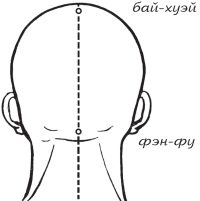 Упражнения цигун для начинающих