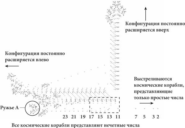 Красота в квадрате. Как цифры отражают жизнь и жизнь отражает цифры