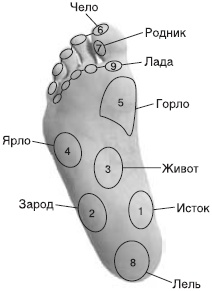 Оздоровительно-боевая система "Белый Медведь"