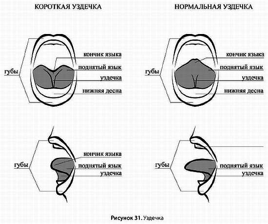 Искусство грудного вскармливания