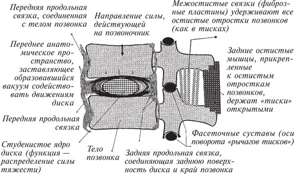 Как лечить боли в спине и ревматические боли в суставах