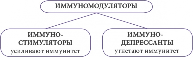 От нуля до букваря