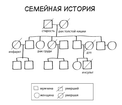 Краткий гид по долгой жизни