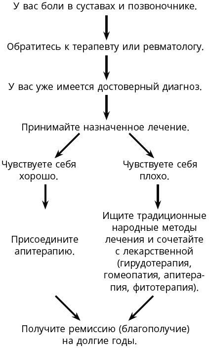 Пиявка и пчела лечат суставы. Метод лечения, который действительно помогает. Советы практикующего врача