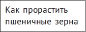 Алхимия здоровья. 6 "золотых" правил