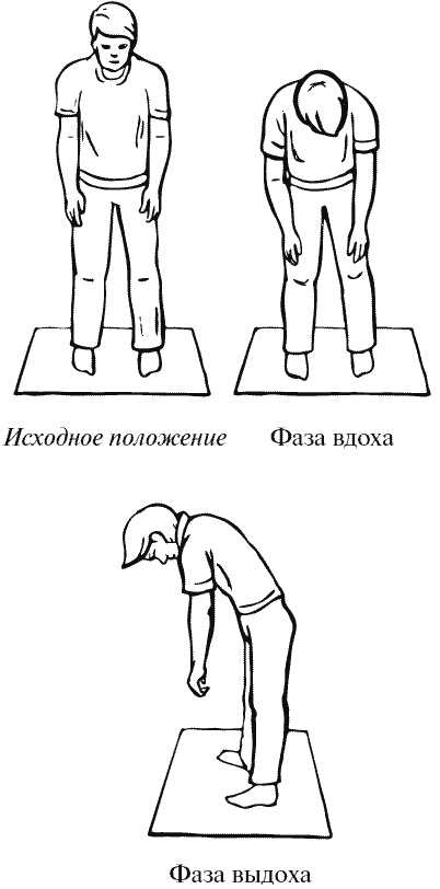 Бронхи и легкие. Советы и рекомендации ведущих врачей