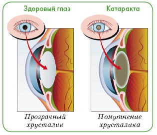 Энциклопедия диагностики и лечения от А до Я