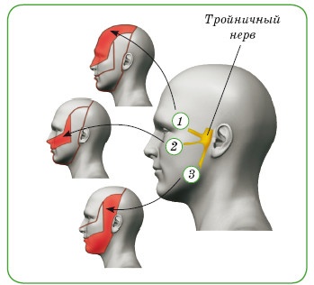 Энциклопедия диагностики и лечения от А до Я