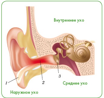 Энциклопедия диагностики и лечения от А до Я