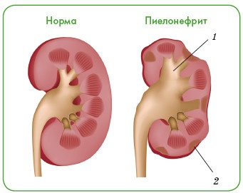 Энциклопедия диагностики и лечения от А до Я