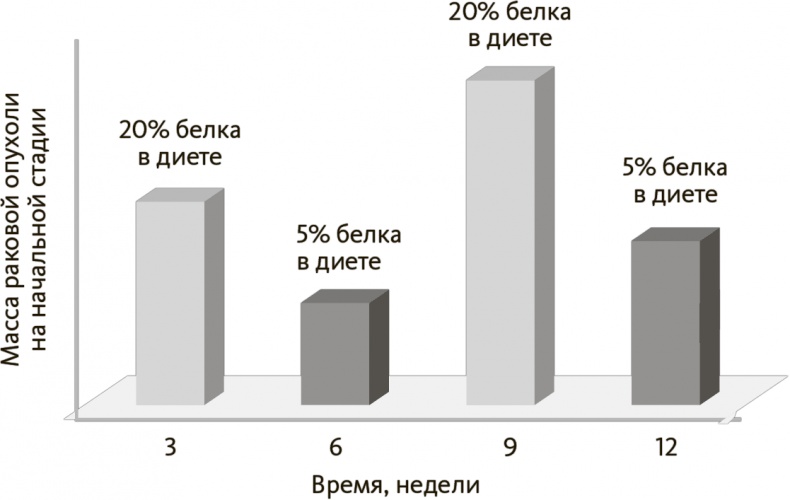 Китайское исследование на практике. Простой переход к здоровому образу жизни