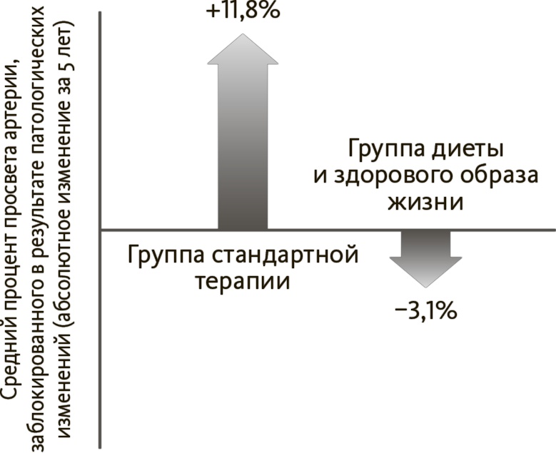 Китайское исследование на практике. Простой переход к здоровому образу жизни