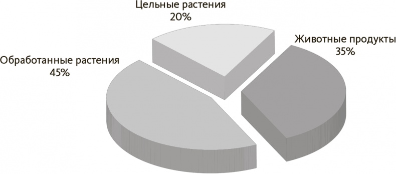 Китайское исследование на практике. Простой переход к здоровому образу жизни