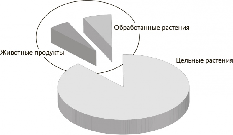 Китайское исследование на практике. Простой переход к здоровому образу жизни