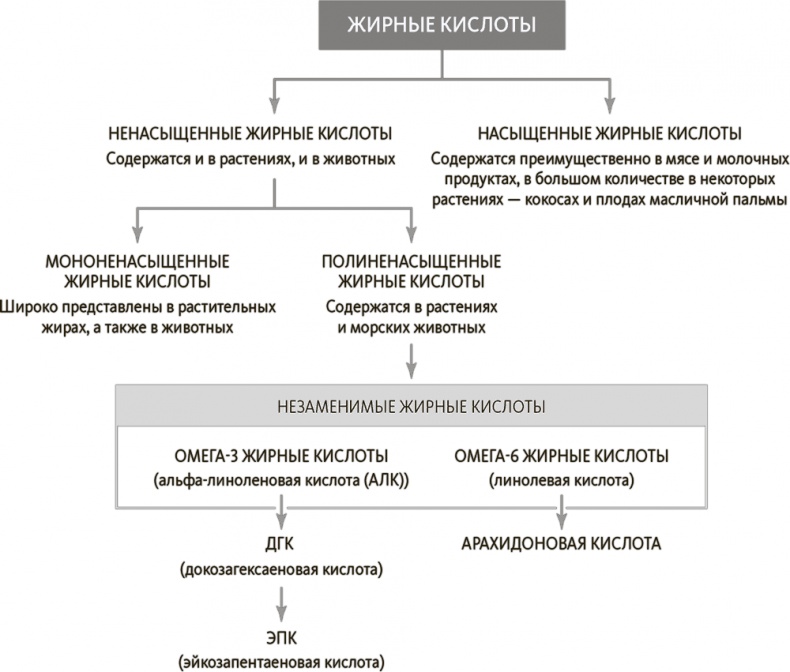 Китайское исследование на практике. Простой переход к здоровому образу жизни