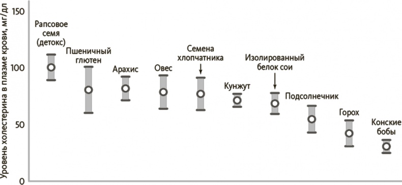 Китайское исследование на практике. Простой переход к здоровому образу жизни