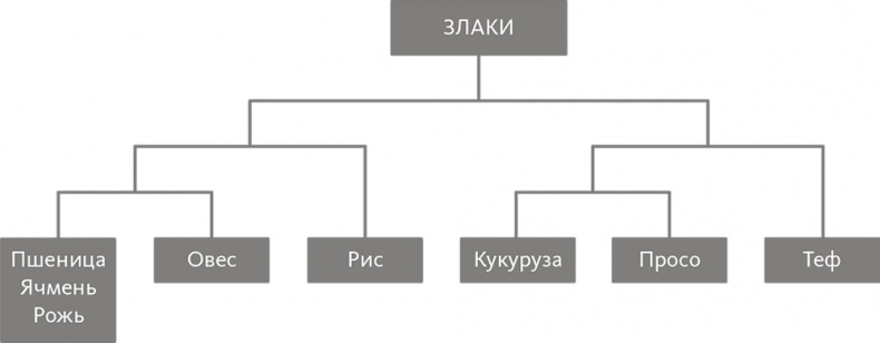 Китайское исследование на практике. Простой переход к здоровому образу жизни