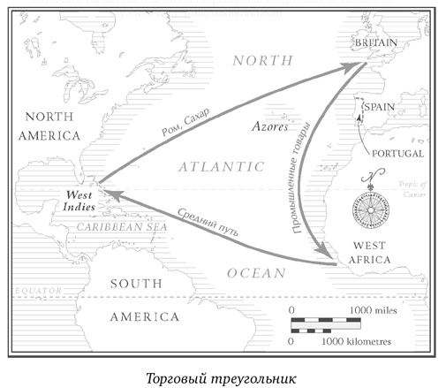 История сахара. Сладкая и горькая