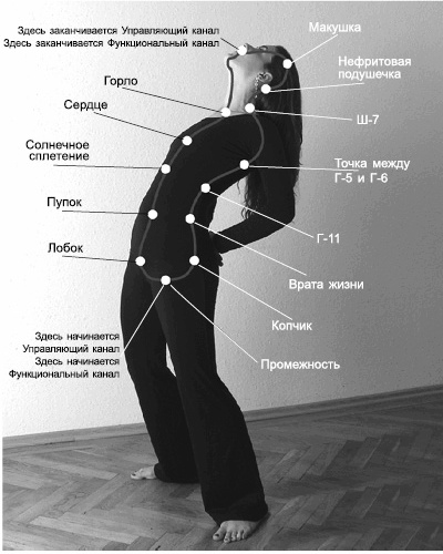 Лечение позвоночника. Научитесь жить без боли в спине