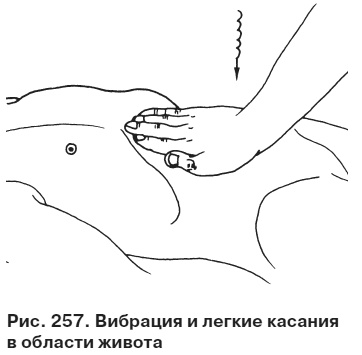 Целительные точки от всех болезней в пошаговых схемах