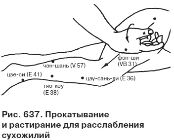 Целительные точки от всех болезней в пошаговых схемах