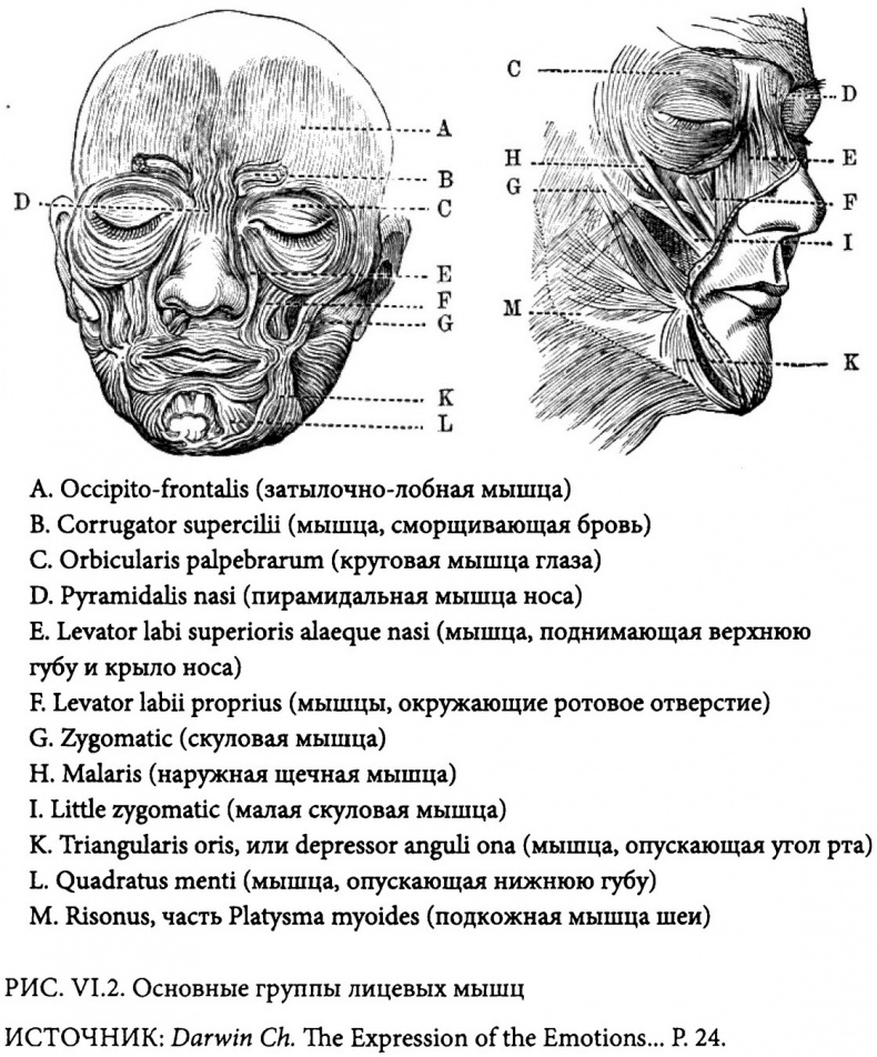 Страсти в нашем разуме. Стратегическая роль эмоций