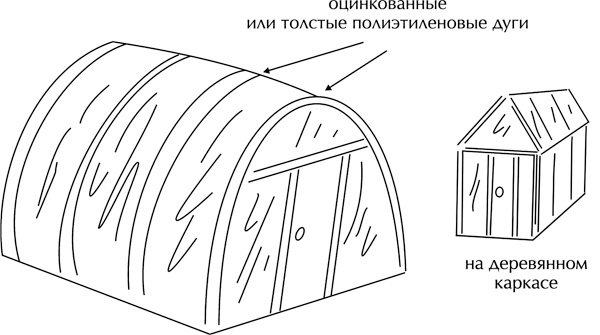 Теплицы без ошибок. С чего начать и как эффективно использовать