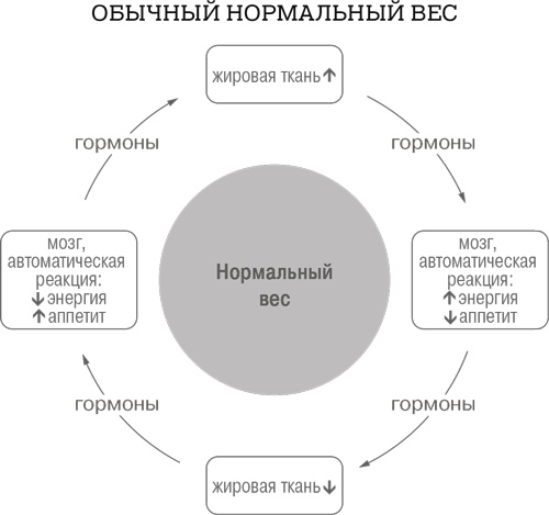 Дело не в калориях. Как не зависеть от диет, не изнурять себя фитнесом, быть в отличной форме и жить лучше