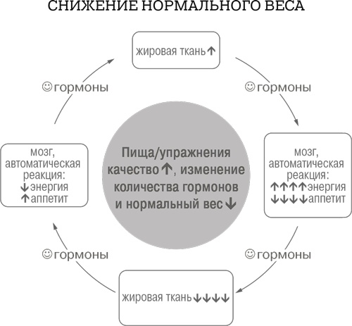 Дело не в калориях. Как не зависеть от диет, не изнурять себя фитнесом, быть в отличной форме и жить лучше