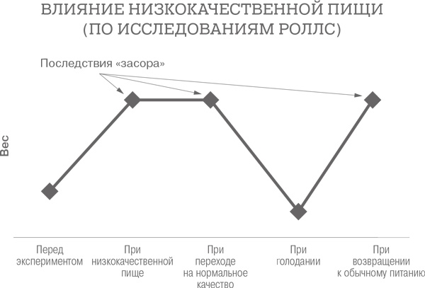 Дело не в калориях. Как не зависеть от диет, не изнурять себя фитнесом, быть в отличной форме и жить лучше