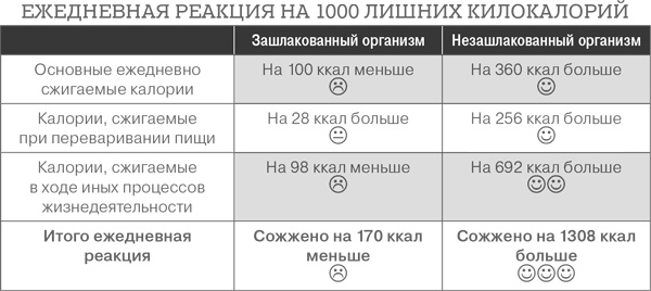 Дело не в калориях. Как не зависеть от диет, не изнурять себя фитнесом, быть в отличной форме и жить лучше