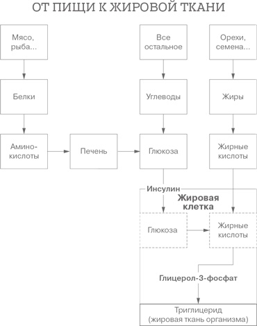 Дело не в калориях. Как не зависеть от диет, не изнурять себя фитнесом, быть в отличной форме и жить лучше