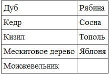 Викканская магия. Настольная книга современной ведьмы